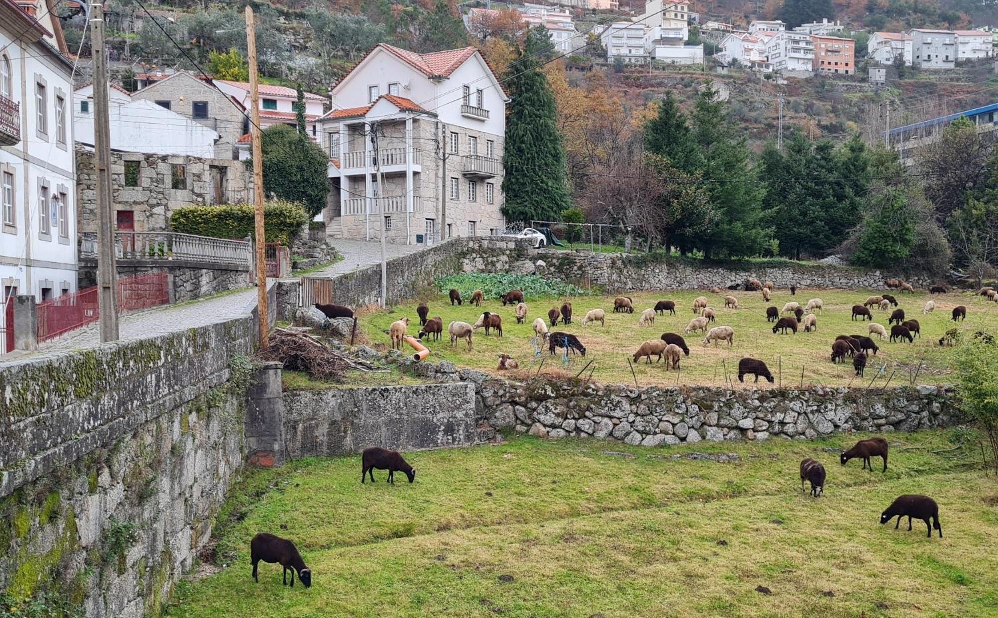 Casa Da Cantareira * Loriga